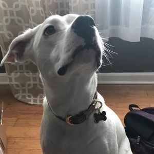 Meet your Posher, Brenda